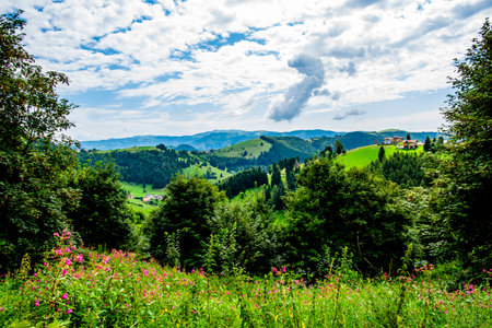 Vibrant summer landscape of the Asiago Plateau, Italy. Rolling green hills, mountain forests, and colorful wildflowers under a bright, cloudy skyの写真素材