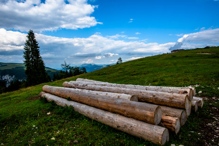 Stacked logs on a green hillside of the Asiago Plateau, Italy. Alpine landscape with distant mountains, pine trees, and bright summer skyの写真素材