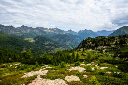 Alpine ridge with rocky paths, dense green slopes and distant peaks under a cloudy sky, photographed in the Lagorai mountains of northern Italy.の写真素材