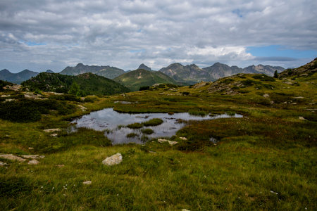 Alpine wetland with shallow ponds, rocky grasslands and distant mountain peaks under a cloudy sky, photographed in the Lagorai range of northern Italy.の写真素材