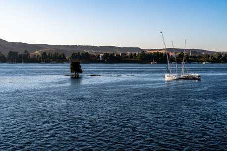 Traditional sailboats anchored on the Nile in Aswan Egypt with a small river island and desert...