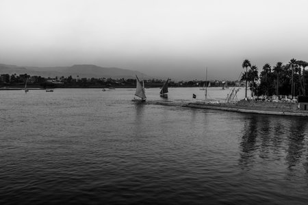 Black and white view of sailboats moving along the Nile River in Aswan, Egypt, emphasizing contrast, stillness, and timeless atmosphere suited for editorial, cultural, and conceptual use.の写真素材