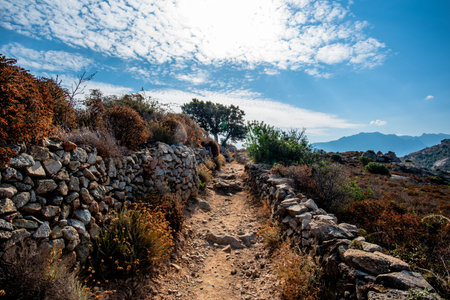 Steep rocky hiking path framed by dry stone walls and Mediterranean vegetation near L'ÃŽle-Rousse,...
