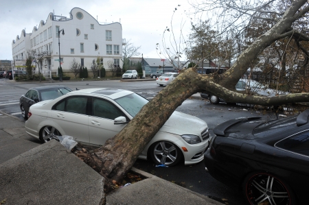 BROOKLYN, NY - OCTOBER 29: Tree felt down to the ground in the Sheapsheadbay neighborhood due to...