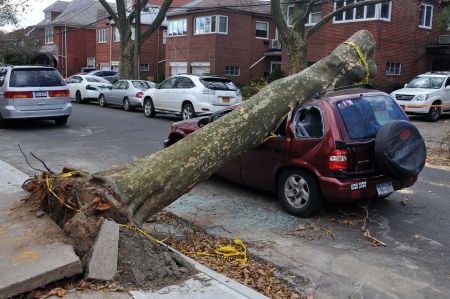 BROOKLYN, NY - NOVEMBER 03: Tree felt down to the car in the Sheapsheadbay neighborhood due to...