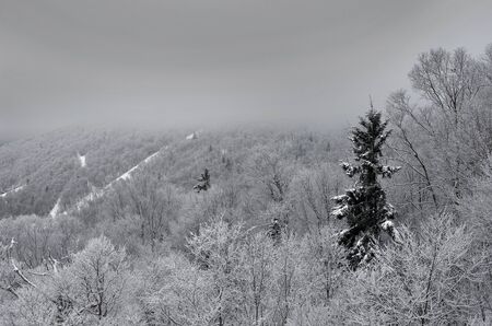 A foggy winter morning at Stowe, Vermont ski resort with snow, frosted trees and skiing slopes の写真素材