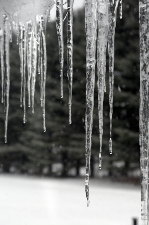Abstract melting shiny icicles の写真素材
