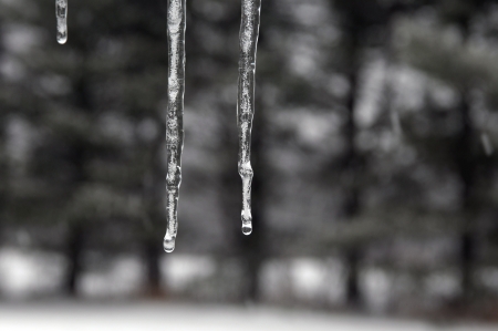 Abstract melting shiny icicles の写真素材