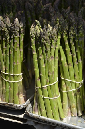 Asparagus Bunches の写真素材