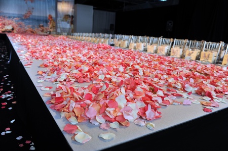 NEW YORK- OCTOBER 14: Empty runway for Claire Pettibone bridal show for Fall 2013 during NY Bridal Fashion Week on October 14, 2012 in New York City, NY のeditorial素材