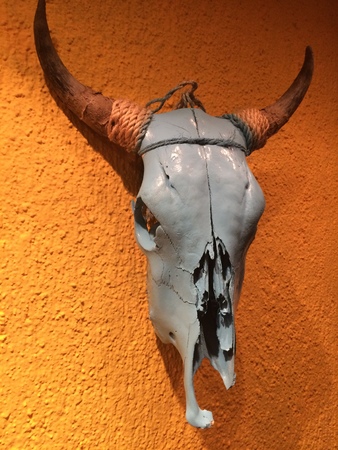 Bull scull at the wall in mexican restaurantの写真素材