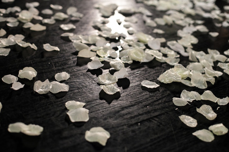 NEW YORK, NY - FEBRUARY 12: A general atmosphere at the Big Park fashion show during Mercedes-Benz Fashion Week Fall 2015 at Beautique on February 12, 2015 in New York City.のeditorial素材