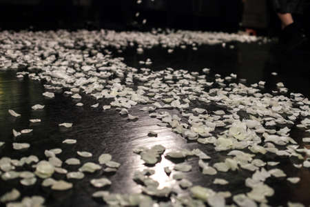 NEW YORK, NY - FEBRUARY 12: A general atmosphere at the Big Park fashion show during Mercedes-Benz Fashion Week Fall 2015 at Beautique on February 12, 2015 in New York City.のeditorial素材