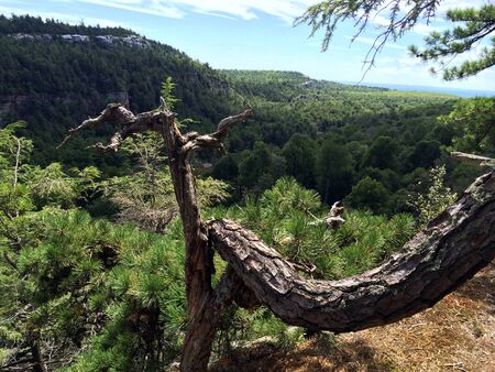 Hiking at Minnewaska State Park Reserve Upstate NY during summer timeの写真素材