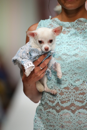 NEW YORK, NY - SEPTEMBER 12: A model walks the runway at the Anthony Rubio fashion show during Spring 2016 New York Fashion Week at Gotham Hall on September 12, 2015 in New York City.のeditorial素材