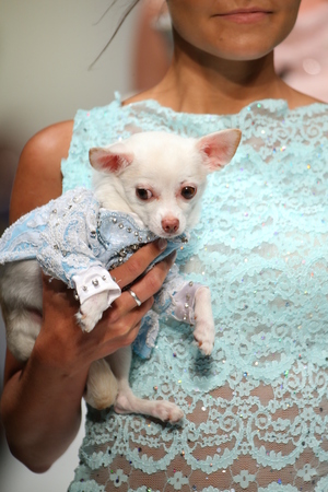 NEW YORK, NY - SEPTEMBER 12: A model walks the runway at the Anthony Rubio fashion show during Spring 2016 New York Fashion Week at Gotham Hall on September 12, 2015 in New York City.のeditorial素材
