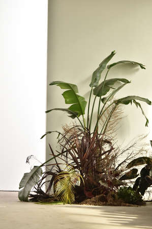 NEW YORK, NY - FEBRUARY 04: Runway background at the Orley show during New York Fashion Week Men's Fall/Winter 2016 on February 4, 2016 in NYC.のeditorial素材