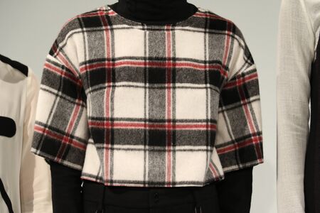 NEW YORK, NY - FEBRUARY 13: Models pose at the Michelle Helene Presentation at Pier 59 on February 13, 2016 in New York City.のeditorial素材