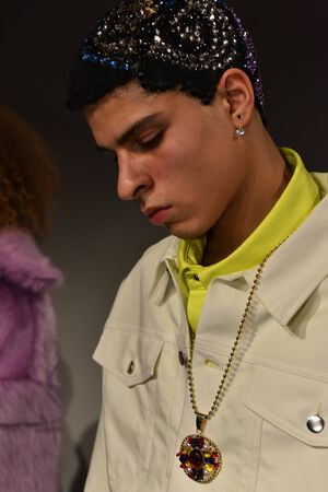 NEW YORK, NY - FEBRUARY 01: Models pose at the Landlord - Presentation at Skylight Clarkson North on February 1, 2017 in New York Cityのeditorial素材