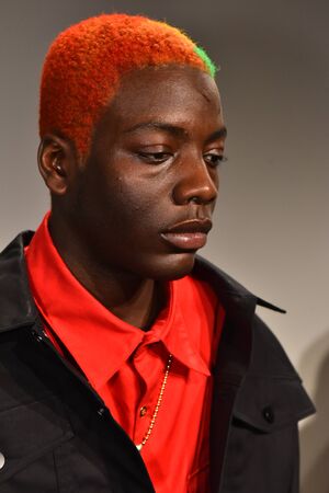 NEW YORK, NY - FEBRUARY 01: Models pose at the Landlord - Presentation at Skylight Clarkson North on February 1, 2017 in New York Cityのeditorial素材