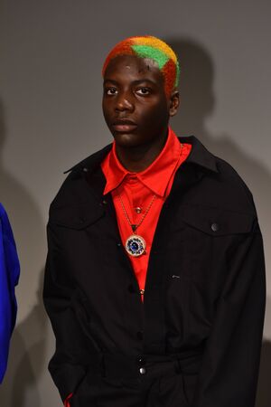 NEW YORK, NY - FEBRUARY 01: Models pose at the Landlord - Presentation at Skylight Clarkson North on February 1, 2017 in New York Cityのeditorial素材
