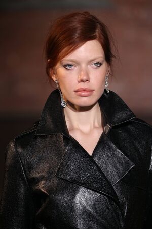 NEW YORK, NY - FEBRUARY 10: A model walks the runway at the Hellessy fashion show during New York Fashion Week at Highline Stages on February 10, 2017 in New York City.のeditorial素材