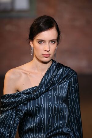 NEW YORK, NY - FEBRUARY 10: A model walks the runway at the Hellessy fashion show during New York Fashion Week at Highline Stages on February 10, 2017 in New York City.のeditorial素材