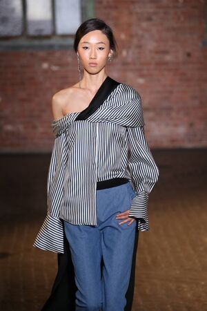 NEW YORK, NY - FEBRUARY 10: A model walks the runway at the Hellessy fashion show during New York Fashion Week at Highline Stages on February 10, 2017 in New York City.のeditorial素材