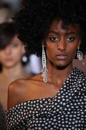 NEW YORK, NY - FEBRUARY 10: A model walks the runway at the Hellessy fashion show during New York Fashion Week at Highline Stages on February 10, 2017 in New York City.のeditorial素材