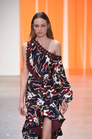 NEW YORK, NY - FEBRUARY 11: A model walks the runway for the Dion Lee collection during, New York Fashion Week on February 11, 2017 in New York City.のeditorial素材