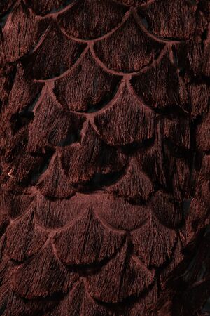 NEW YORK, NY - FEBRUARY 11: A model walks the runway for the Christian Siriano collection during, New York Fashion Week on February 11, 2017 in New York City.のeditorial素材