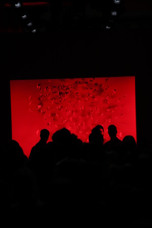 NEW YORK, NY - SEPTEMBER 07: Runway background for Noon By Noor fashion show during New York Fashion Week on September 7, 2017 in New York City.のeditorial素材