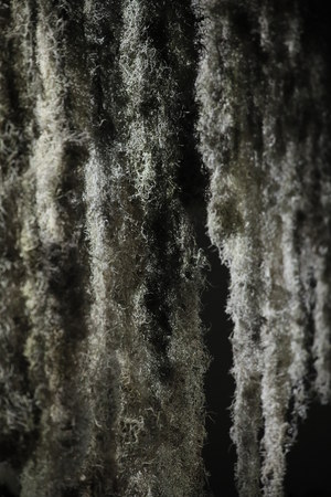 NEW YORK, NY - FEBRUARY 10: Runway background for Jonathan Simkhai Show during New York Fashion Week: The Shows at Gallery I at Spring Studios on February 10, 2018 in New York City.のeditorial素材