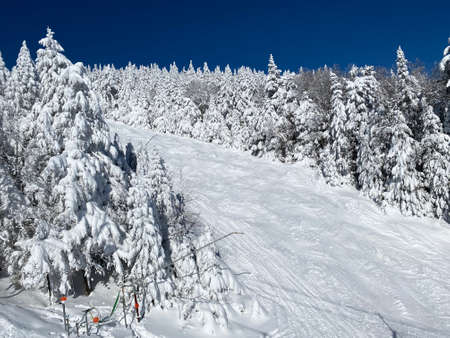 Beautiful day at Okemo mountain with fresh snow and panoramic views in Vermont USA
