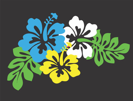 Hibiscus flower. Vector illustration on a black background.のイラスト素材