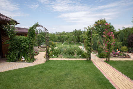 summer background. green beautiful garden. the concept of summerの写真素材