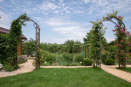 summer background. green beautiful garden.