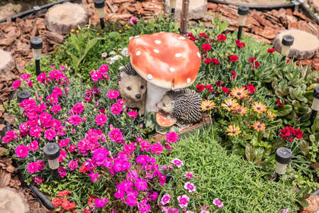 rose flowers in the garden and decorative hedgehogs. hedgehogの写真素材