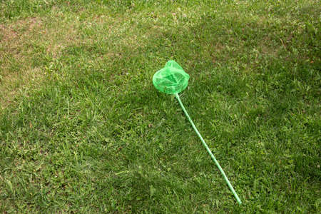 Children's butterfly net for catching butterflies. butterfly catcherの写真素材