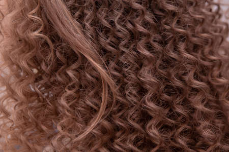 Beauty young woman with curly small and long hair. Permed hair. small locks on hair