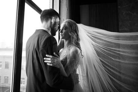 beautiful wedding couple. bride with a long white veil and in a wedding dress. groom in a stylish suit. dark interiorの写真素材