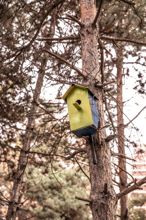 a squash in the forest on a tree. bird house on a pine tree in the park. birdhouse.の写真素材