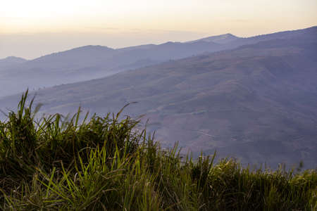 Moring on the mountain.の写真素材