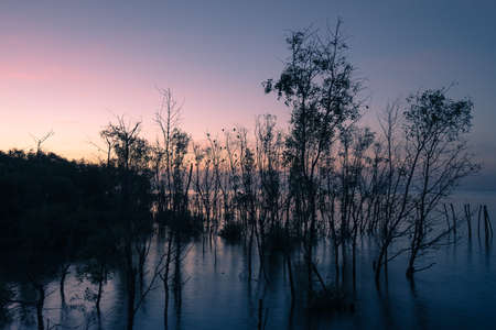 The silhouette make photo feel strong and peaceful at same time.の写真素材