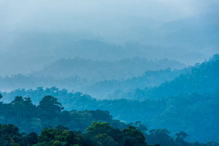 The Jungle step with light like a watercolor. Sky in little warm by sunset.の写真素材