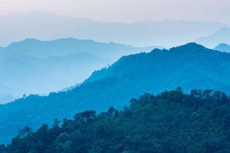The Jungle step with light like a watercolor.の写真素材