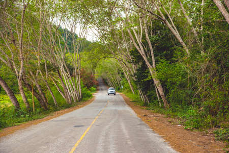 Travelers's car pass to the mountain.の写真素材