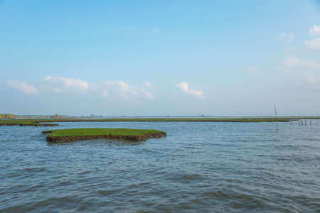 Land split off in wet land area.の写真素材