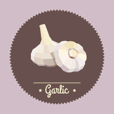 Amazing vintage illustration with vegetable.のイラスト素材