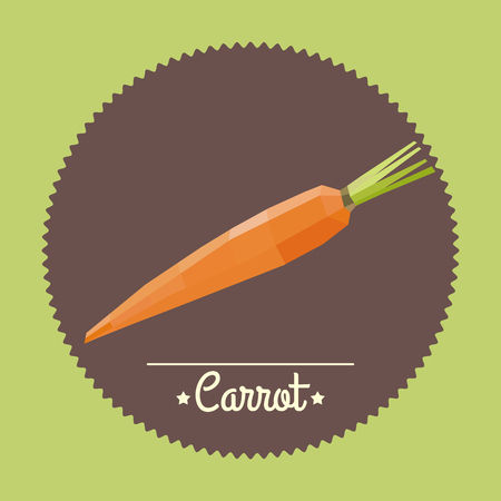Amazing vintage orange carrot illustration.のイラスト素材